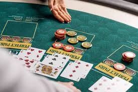 Slot game spin history with bonus round details and final payout